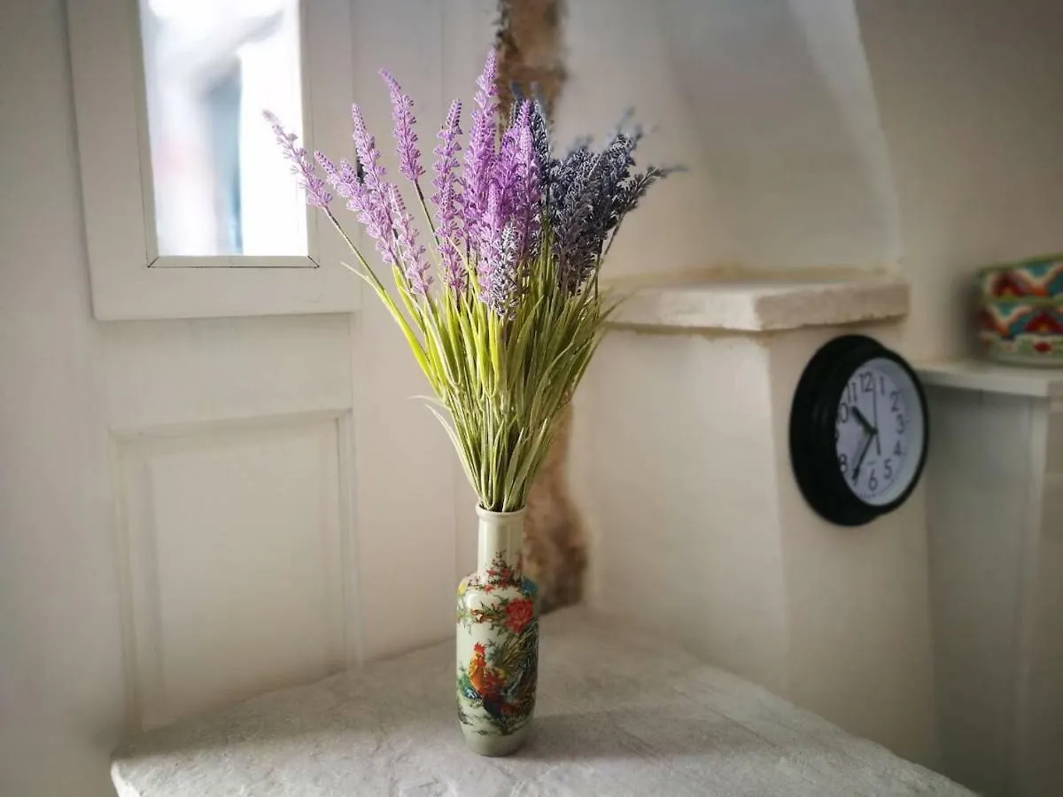 Cres Studio Till Apartment